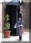 Sentry.jpg (39517 bytes)